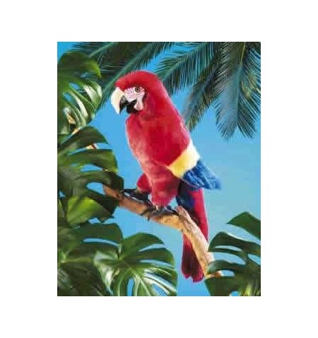 Pupazzo pappagallo arabo
