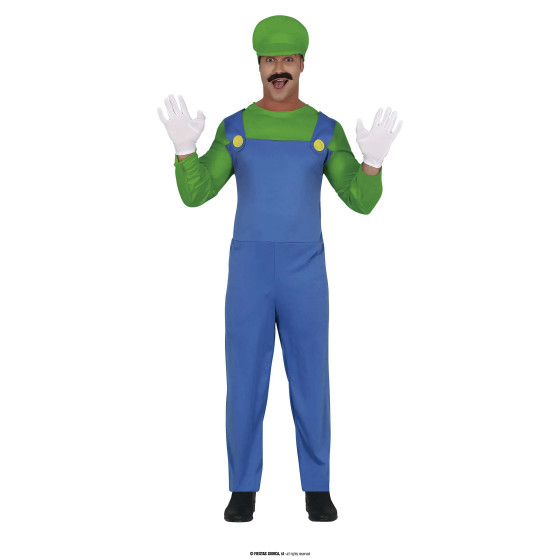 Costume Luigi